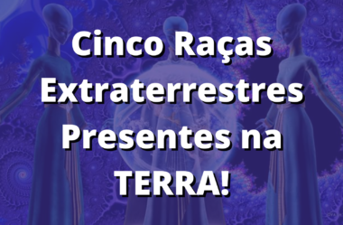As Cinco Principais Raças Extraterrestres Atuando Positivamente Na Terra!